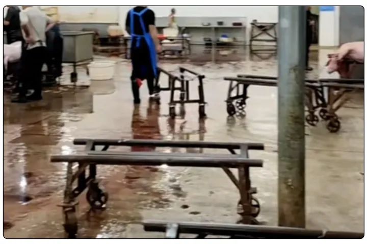 屠宰工廠惡臭影響周邊，使用除臭劑有什么注意要點？.jpg