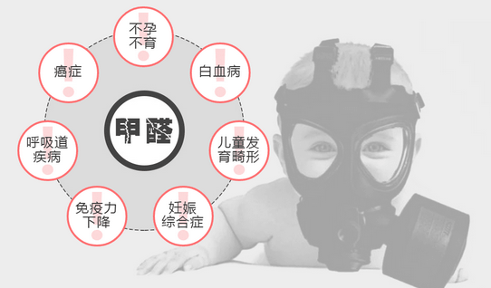 常見(jiàn)的“除甲醛”方法有哪些呢？有什么優(yōu)缺點(diǎn)？