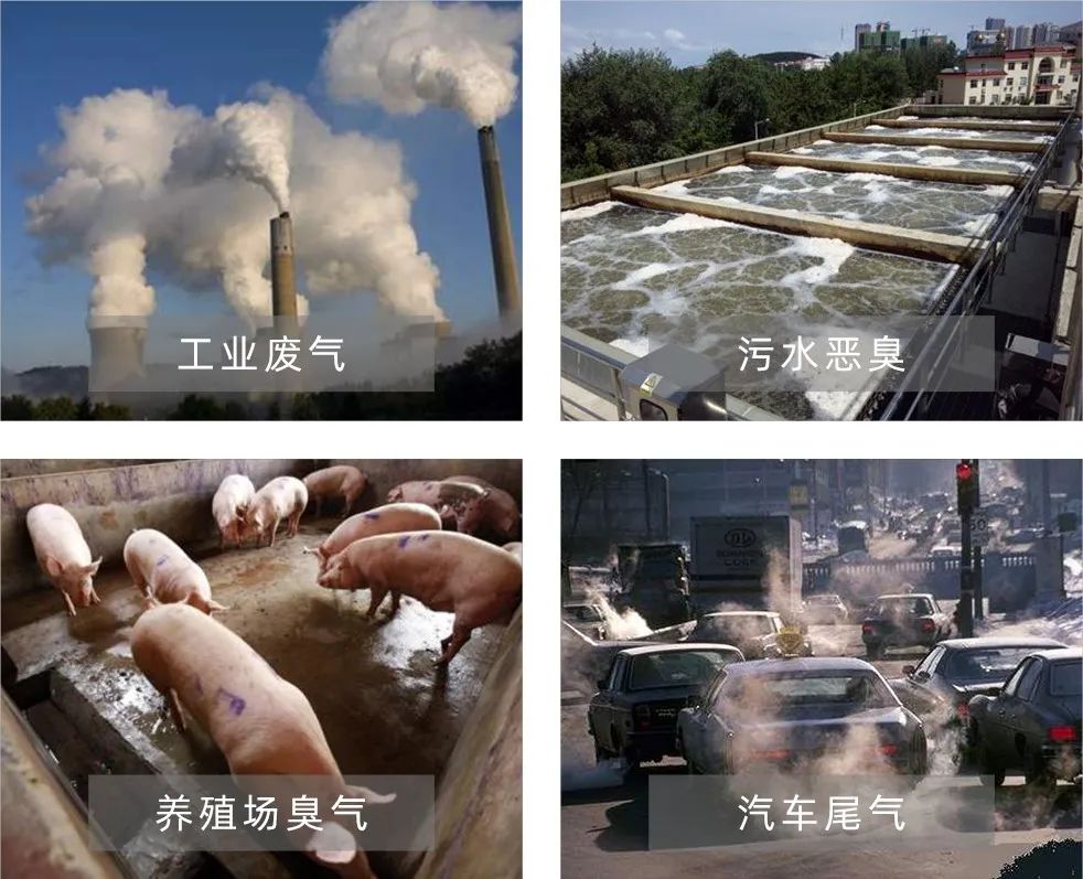 Dejing的凈工業(yè)除臭劑——解決臭味困擾的源頭！.jpg
